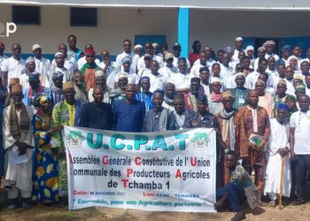 Agriculture :  L’Union communale des producteurs agricoles de Tchamba 1   voit le jour