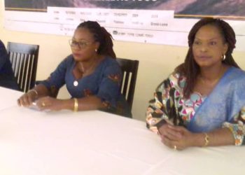Ogou/coopération décentralisée :  atelier de restitution des activités du projet d’accompagnement des communes du Togo à Atakpamé