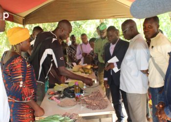 Vo / Agriculture : la 2ème foire des semences paysannes ouverte à Kpomé