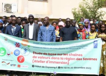 Tone/Chaînes de valeurs dans la région des Savanes : un atelier d’immersion de l’étude de base réunit les acteurs impliqués