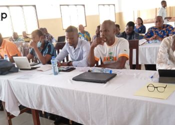 Revue annuelle du district sanitaire de Haho :  bilan et planification des activités de 2024