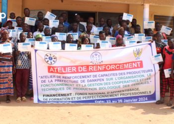 Dankpen/promotion de l’agriculture biologique : Des producteurs de céréales renforcent leurs capacités à Guérin-Kouka