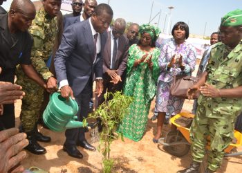Le Togo en marche vers un milliard d’arbres à l’horizon 2030