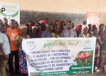Est – Mono /Bonne pratique de la pomme de cajou : Des producteurs et collaborateurs en atelier d’imprégnation