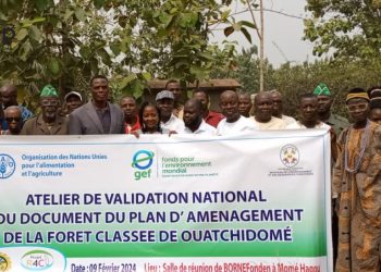 Vo: Le plan d’aménagement de la forêt classée de Ouatchidomé validé