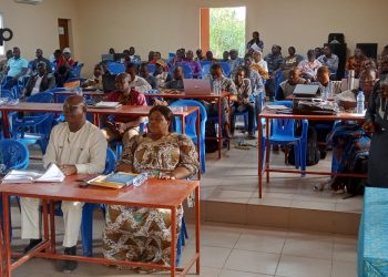 Le district sanitaire de Doufelgou en revue annuelle 2023