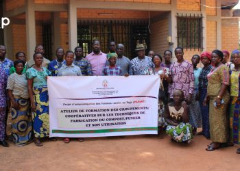 Doufelgou : Des producteurs et maraichers en formation sur les techniques de fabrication du compost