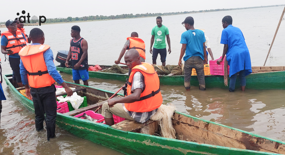 Atop.tg la premiere peche de tilapia realisee sur le barrage de Dalwak