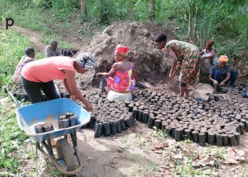 Kloto : Des membres de « Etsonenyo de Tové-Atti » formés sur la mise en place des pépinières pour la production d’arbres forestiers