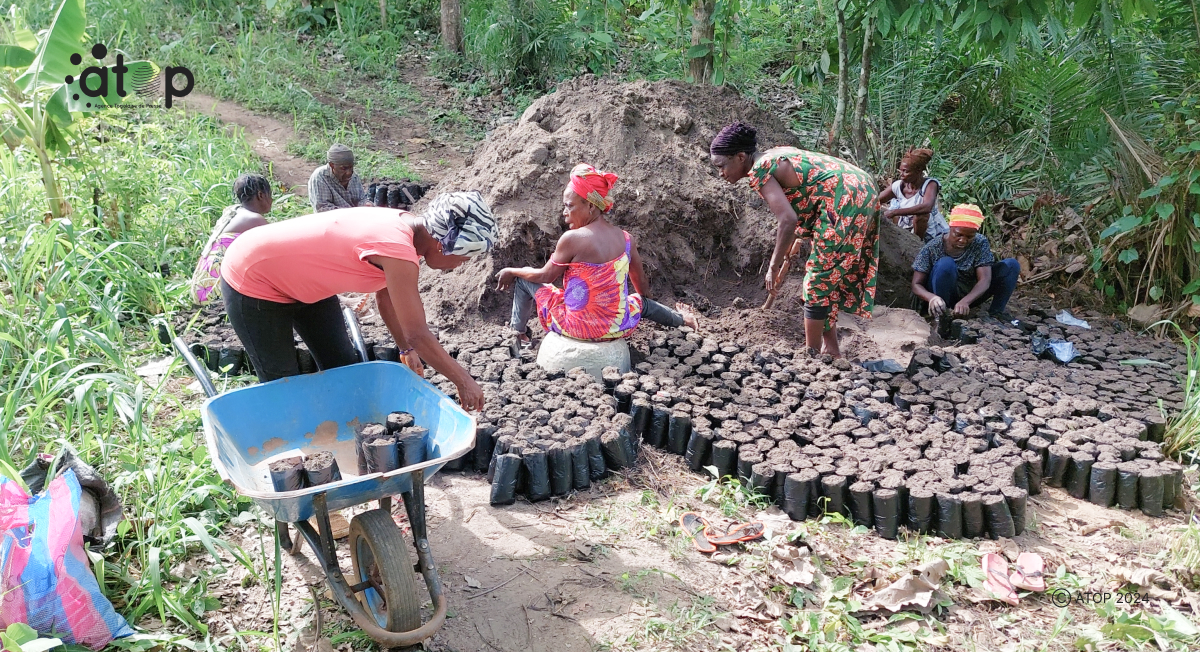 Atop.tg Des membres de Etsonenyo de Tove Atti formes sur la mise en place des pepinieres pour la production darbres forestiers