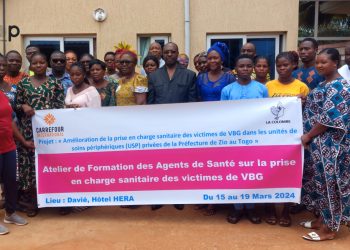 Zio / prise en charge sanitaire des victimes de violences basées sur le genre :   des agents de santé formés