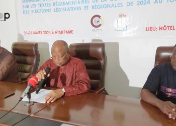 Ogou/élections législatives et régionales :  des journalistes des médias publics formes sur les textes réglementaires
