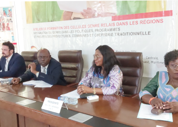 Ogou : des points focaux de la région des Plateaux-est en formation sur le concept genre à Atakpamé