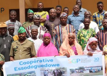 Tchaoudjo: La coopérative Essodoguedowè dresse un bilan satisfaisant du projet d’anacardes à Agouloudè