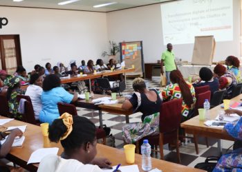 Transformation digitale et innovation technologique : Des femmes cheffes d’entreprises des TPME outillées à Kara