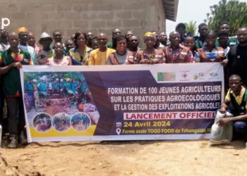 Blitta/Pratiques agroécologiques :  Des jeunes agriculteurs de la région Centrale en formation à Tchangaïdè