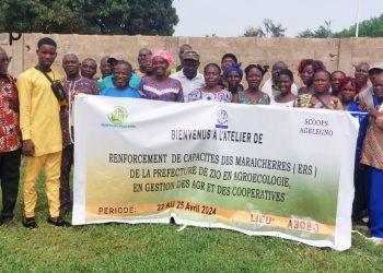 Des maraichers du Zio formés sur les bonnes pratiques agricoles