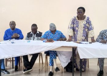 Doufelgou/révision de la constitution : les leaders communautaires entretenus sur les avantages de la nouvelle loi