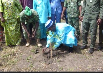 Notse / Environnement : Le Ministre Katari Foli-Bazi a lancé la journée nationale de l’arbre