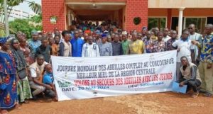Atop.tg les jeunes de Sotouboua volent au secours des abeilles