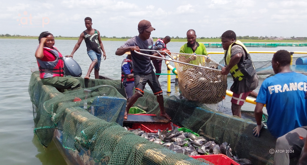 Ogou/ Première pêche sur le lac Nangbéto : les résultats présentés par dix primo-entrepreneurs 1 Oliver 2024 05 22T115358.800