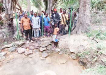 Tandjouaré/ préservation de la biodiversité :  des jeunes du canton de bagou initiés sur les vertus de la forêt sacrée de Kpinkporgou