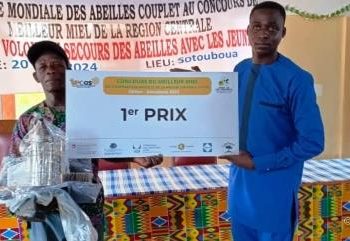 Journée mondiale des abeilles :  les jeunes de Sotouboua volent au secours des abeilles