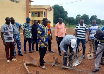 Oti : Des producteurs agricoles en formation sur les techniques de la culture attelée à Barkoissi