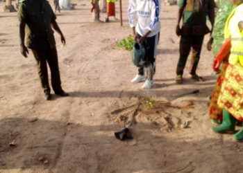 Tone/journée nationale de l’arbre au Togo :  plusieurs sites reboisés dans les savanes