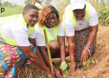 Vo / environnement :  un projet de reboisement lancé à Wogba