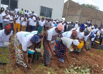  Dankpen/la campagne de production du soja au Togo saison 2024-2025 lancée à Guerin-kouka