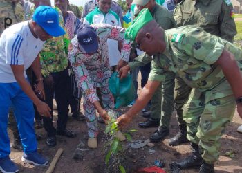 Ogou/campagne de reboisement 2024 : les autorités des Plateaux-est ont lancé les opérations de mise en terre des jeunes plants