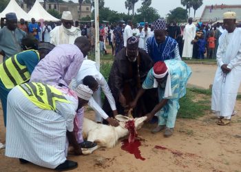 L’aid el kebir ou fête du mouton: les musulmans de Lomé ont prié pour la pérennisation de la paix au Togo