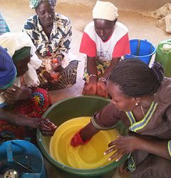 La fabrication artisanale du savon liquide, une activité génératrice de revenu pour les femmes du groupement « la victoire » d’Agou Gadzéfé