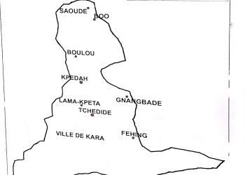 Les secteurs agricoles et culturels, deux potentialités du canton de Lama