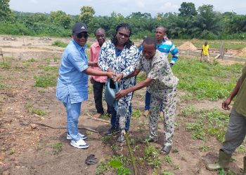Kloto/campagne de reboisement :  2000 plants mis en terre dans le canton de Tome
