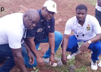Kozah/environnement :  la LONATO a reboisé 2000 plants autour des terrains des finales des Evala de Pya et de Tchitchao  