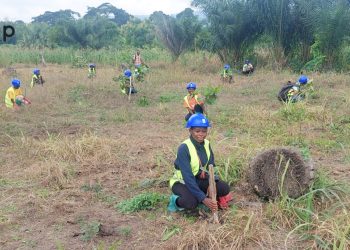 Kloto/campagne de reboisement  l’ADJKB met en terre 150 plants sur son site de Hanyigban
