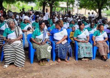 Blitta : les artisans de la préfecture ont célébré les journées de l’artisanat du Togo