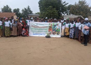 Agoe-Nyive Reconstruction du couvert végétal sur les rives du Zio  L’association FELEADEC lance un sous-projet à Togomé
