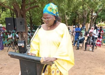 Cinkassé/ la journée de la femme africaine :    la caravane mobile du village de la femme lancée