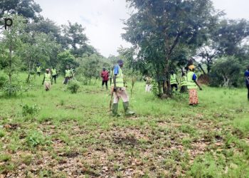 Tchaoudjo: 5000 plants mis en terre sur le site de la forêt communautaire de Kpangalam