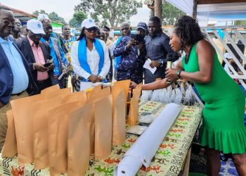 Blitta : commerce :  la deuxième foire internationale ouverte à Blitta