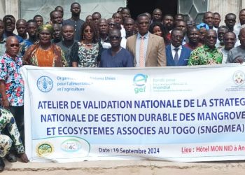 Lacs/environnement:  la stratégie nationale de gestion durable des mangroves et écosystèmes associés au Togo validée