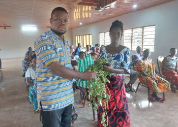 Sécurité alimentaire : Trente organisations féminines de Yoto 3 bénéficient de semences certifiées