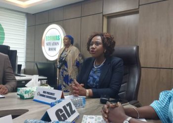 Interview/ CEDEAO :  « Avec les crises au sein de la sous-région, nous avons laissé d’autres acteurs écrire des narratifs en notre nom… »  (Mme Damtien Tchintchibidja)