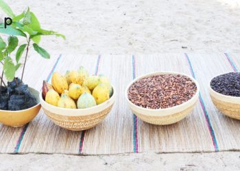 Togo/3e Festival du café et du cacao :  Le savoir-faire des producteurs et transformateurs locaux mis en évidence