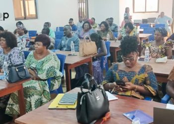 Lacs / commerce transfrontalier :  des femmes et jeunes commerçantes formées sur les procédures douanières à Aného