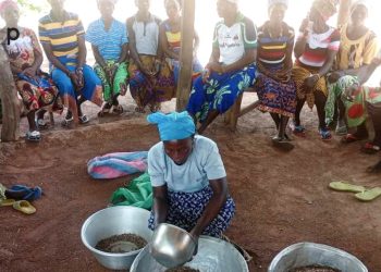 Tone/ transformation du karité et du néré :  des femmes des coopératives en formation