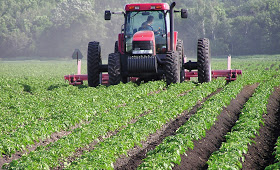 Togo :  La modernisation de l’agriculture et le renforcement de la sécurité alimentaire en bonne voie